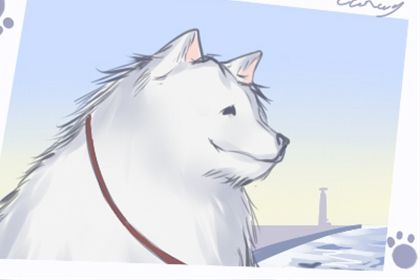 財帛宮