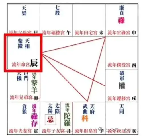 2024甲辰年紫微斗數運勢,流年運勢分析