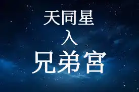 天同星在兄弟宮