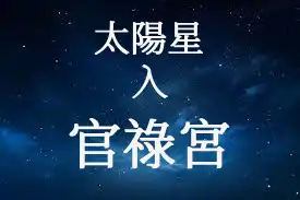 太陽星在官祿宮/事業宮