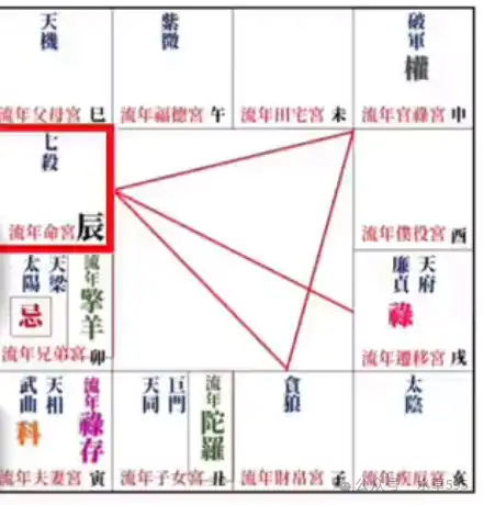 2024甲辰年紫微斗數運勢,流年運勢分析