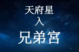 天府星在兄弟宮