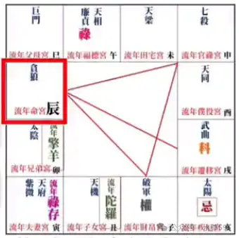 2024甲辰年紫微斗數運勢,流年運勢分析