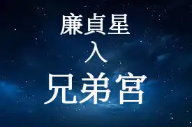 廉貞星在兄弟宮
