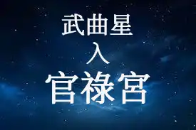 武曲星在官祿宮/事業宮