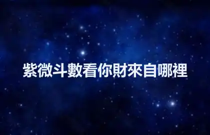 紫微斗數看你財來自哪裡