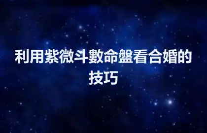 利用紫微斗數命盤看合婚的技巧