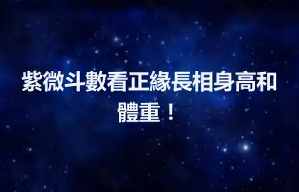 紫微斗數看正緣長相身高和體重！