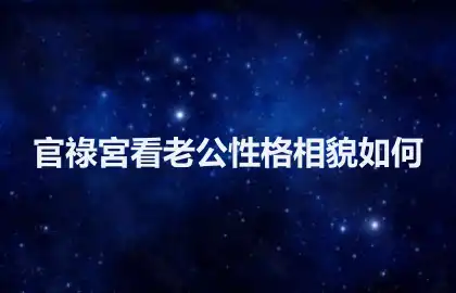 官祿宮看老公性格相貌如何