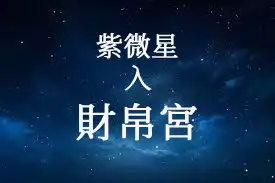 紫微星在財帛宮