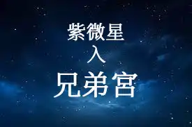 紫微星在兄弟宮