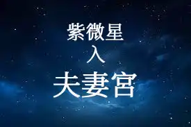 紫微星在夫妻宮