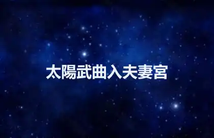 太陽武曲入夫妻宮