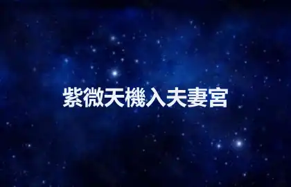 紫微天機入夫妻宮